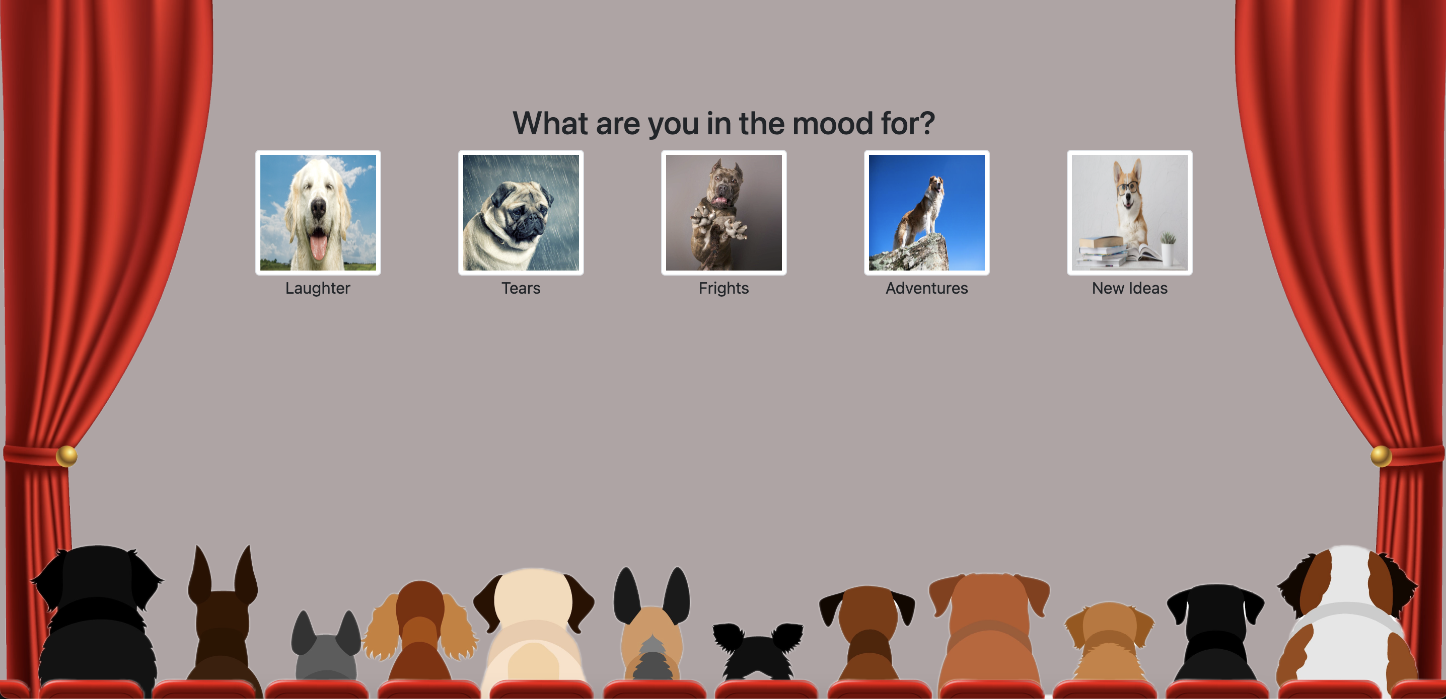 Hollywoof